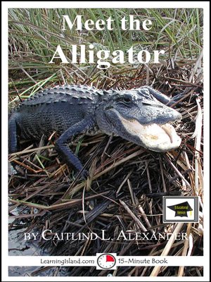 cover image of Meet the Alligator